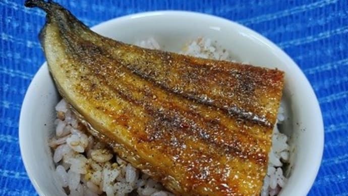 【09/15昼食】三重県産鰻蒲焼尾側で鰻丼、これから歯科に行くんだね:D