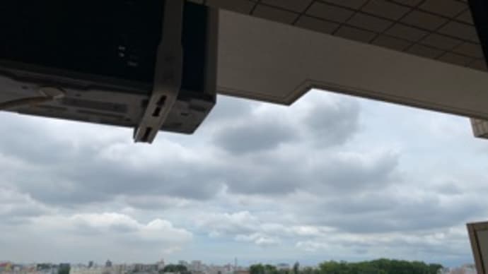 雨が上がり、ムシムシ