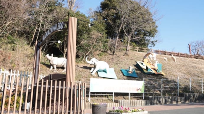 金沢動物園 「nosh6食セット」管理栄養士とシェフの味がご自宅に! ナッシュ株式会社