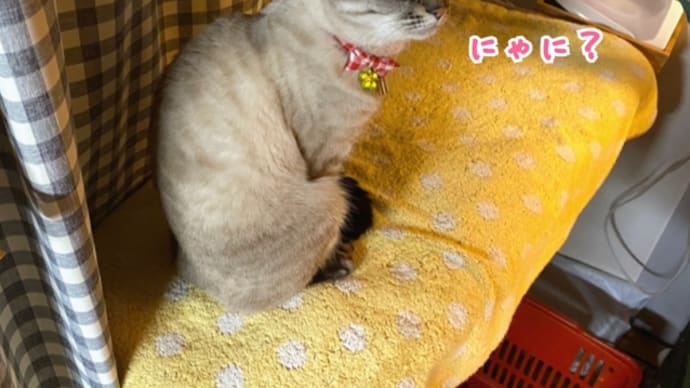 もう通常モードになってる!?
