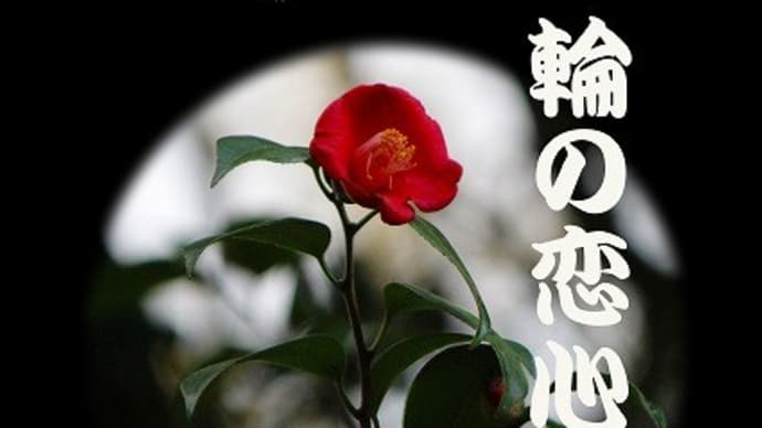 椿一輪の恋心