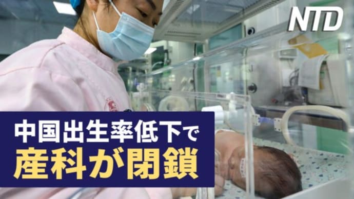台湾初の国産潜水艦は高い能力 米専門家が評価/中国で出生率低下、病院は産科を閉鎖 など|NTD ワールドウォッチ(2023年10月3日)