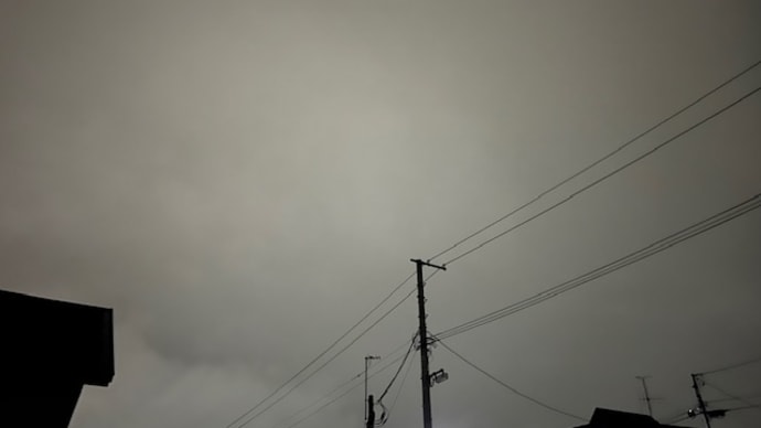 昨日の今日で雨は無いやろと