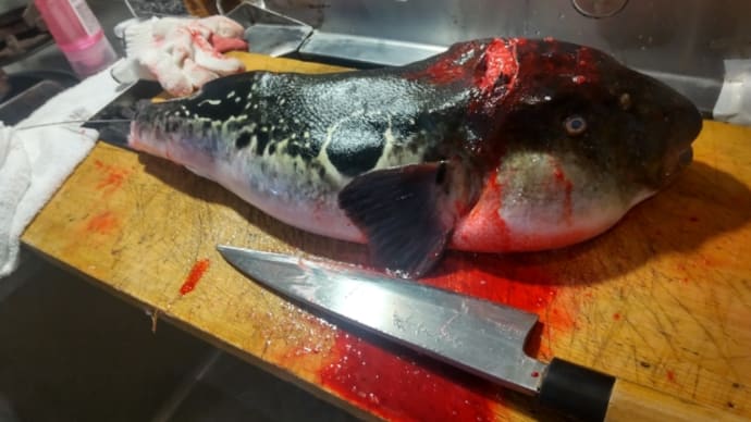 那珂湊水揚げ