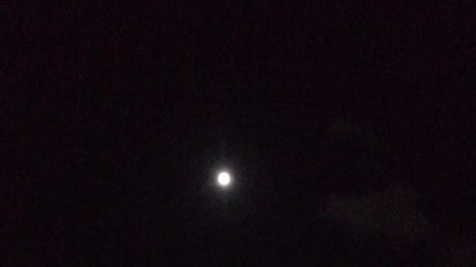 天使ミカエルの言葉 やっこさで草引きしました; 蚊除けに守護天使?