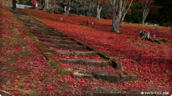 土津神社の真っ赤な絨毯