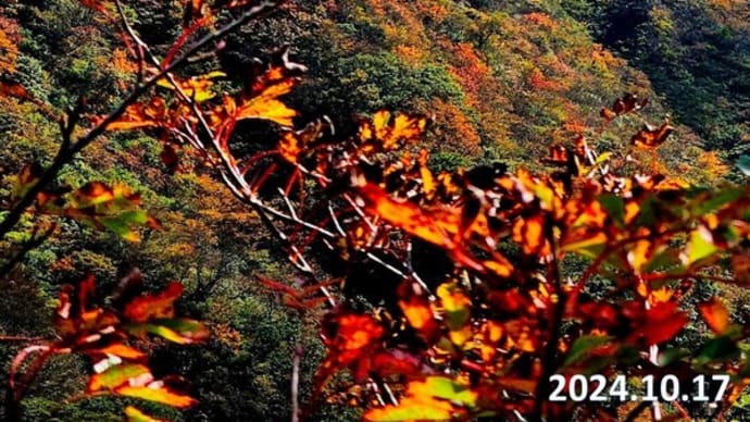 2024年回顧　10月度　今年もあとわずか