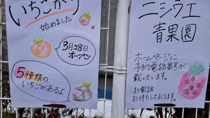 あなたならどうする