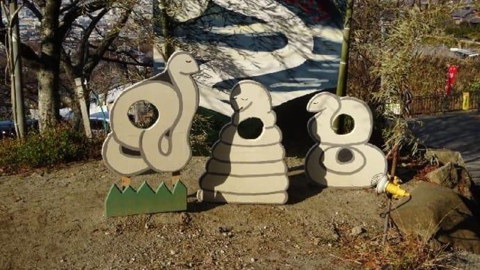 玉祖神社・水仙
