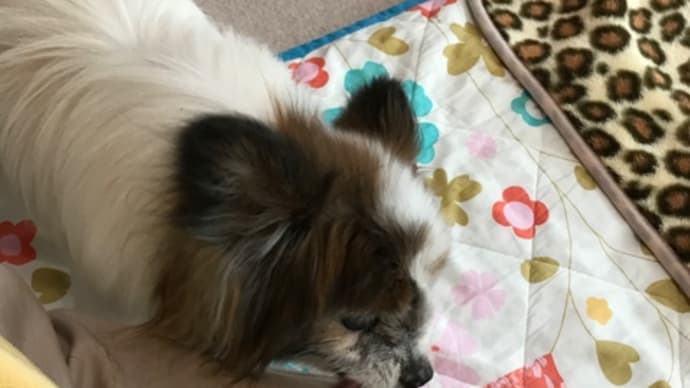 病院へ