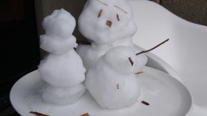 雪も溶けて…元箱根