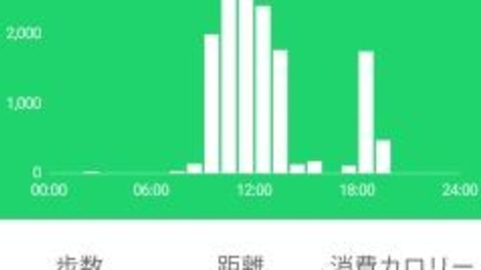 テニスの1日、くたびれています