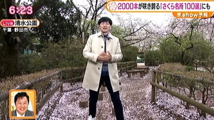 さくら名所100選・清水公園