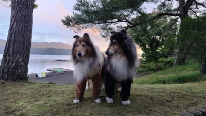もうすぐ紅葉祭り🎵