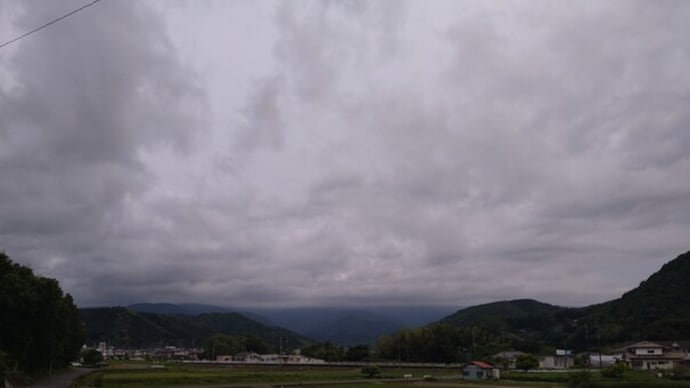 色づく枇杷の実の空