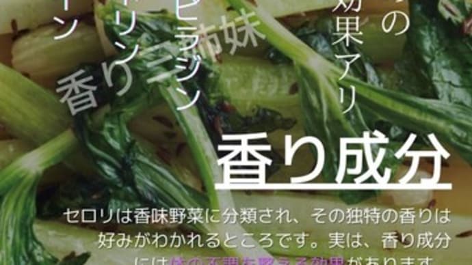 セロリの秘密に迫る?編/365日野菜シリーズ#shorts