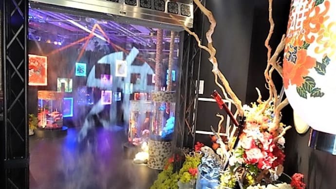 「魁、究極のアク和リウム」/ 雅 GA☆KYO(アクアシティお台場)