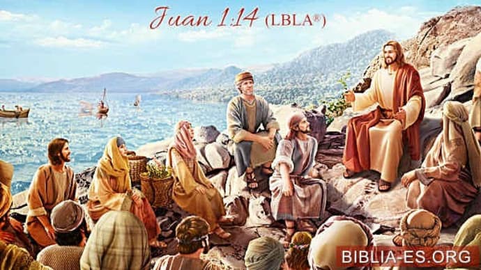 Versículos de la Biblia - Juan 1:14