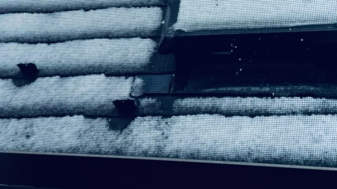 東京は雪