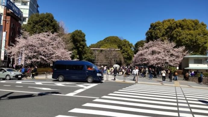 2024年の思い出2