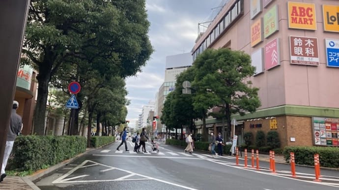 初冬の寒さ 放射冷却で