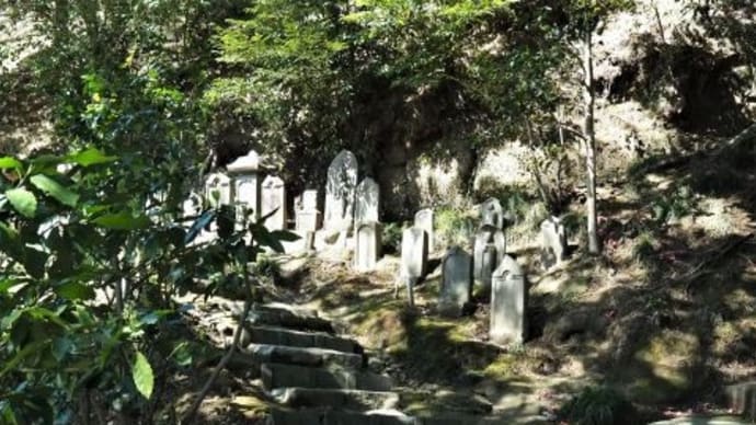 龍宝寺・別の顔