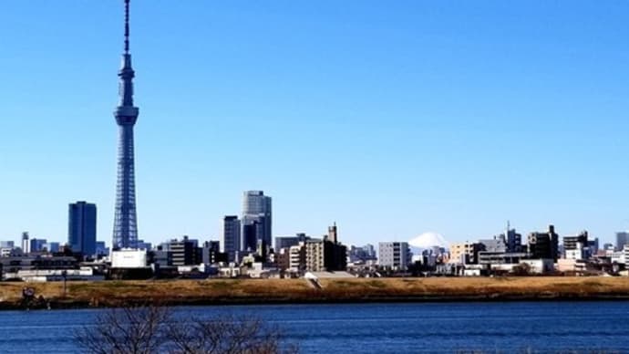 ☘☘ 気分転換して参りました (*˙˘˙*)ஐ