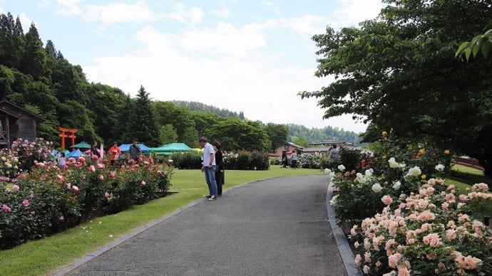 東沢バラ公園 5