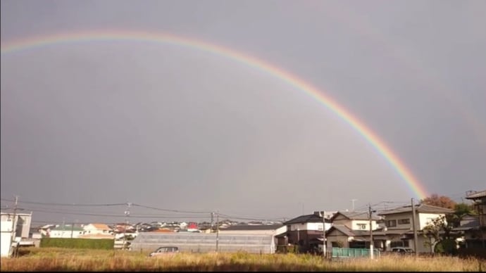きれいな虹