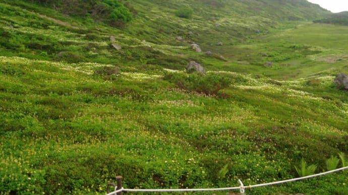 中国,四川州干ばつに大規模ロックダウンで経済への影響懸念か⁉&北海道胆振地震4年,2017北海道,震災復興支援,旭岳散策・・&黒猫キキが洋服に吐いた&オールドルーキー,最終回・