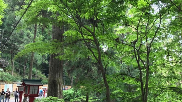 【4歳】高尾山
