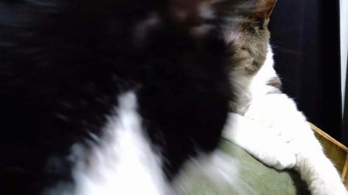 雑用もたまにはよろし