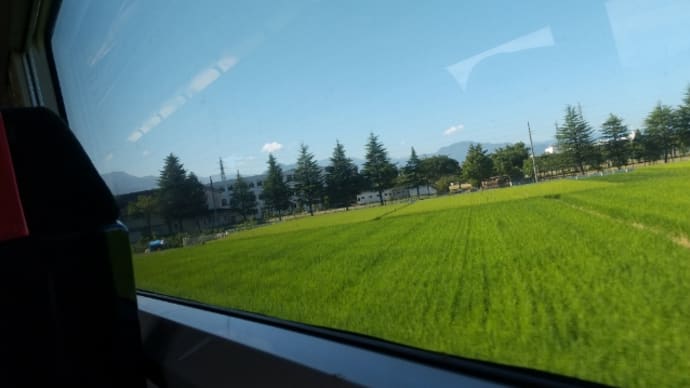 昨日の鉄分❇️ながもちゃん