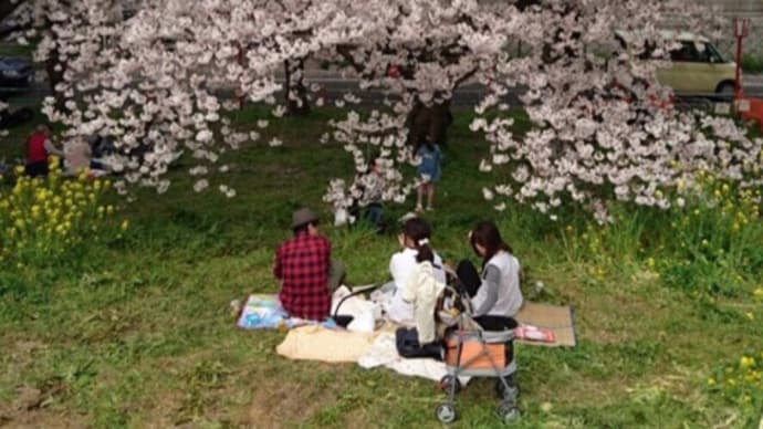 桜の思い出