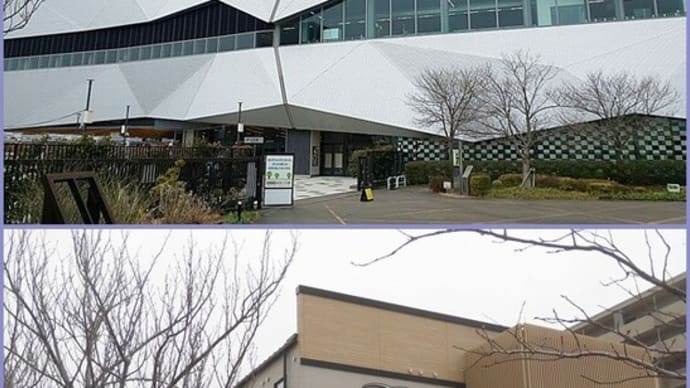 そうだ こまつの杜、行こう。