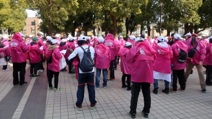 大阪国際マラソンで３時間以上も立ってボランティアした日　volunteered in the Osaka women's marathon course