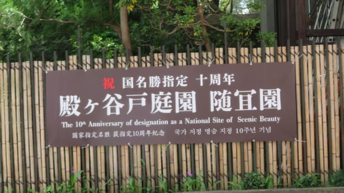 殿ヶ谷戸庭園(随宜園)が国の名勝に指定されてから10周年!緑を楽しみに行ってきました。