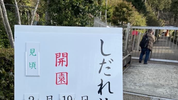 三室戸寺!