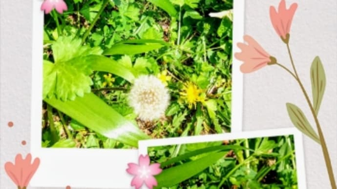 卒業だよ! 火曜日クラス(3月のまとめ) オムディオ作品完成だあ❗️