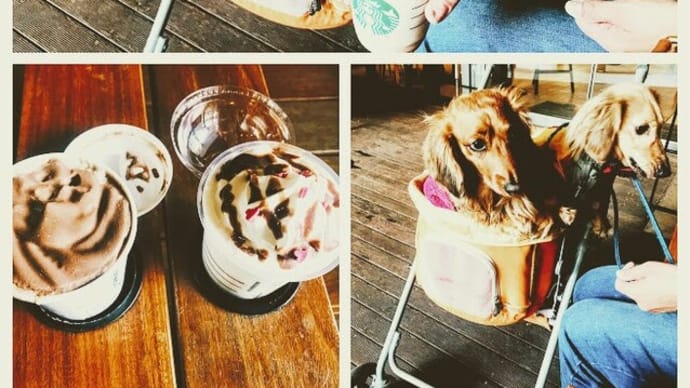 スタバ