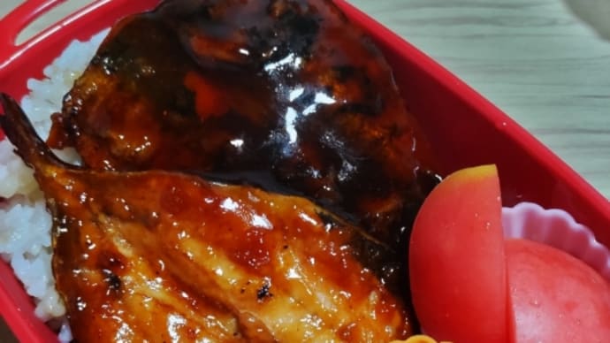 今日のお弁当6月28日