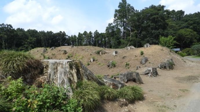 水戸の土塁(1)