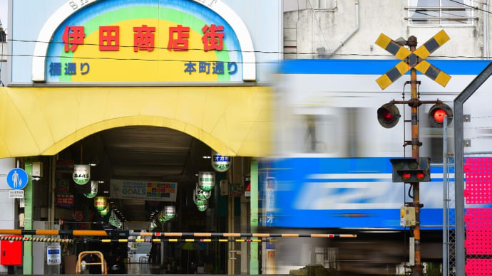 夏の自由研究、完結す。