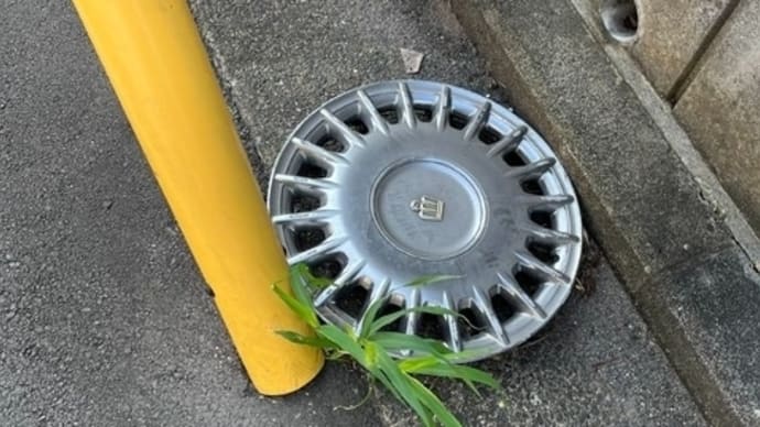 「過去はもうない」 せせらぎ緑道 アジサイ 古い小屋 タイヤの部品
