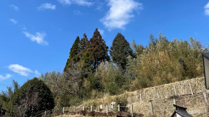 明鏡止水