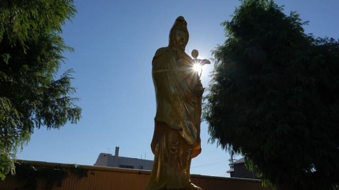 散歩写真 22/11/05