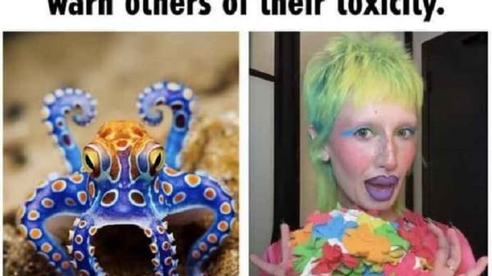 Watch Out For SJWs With Their Rainbow Colors.  😀😃😄😁😆😅😂🤣😈🤡🐍🐉🔴🟠🟡🟢🔵🟣