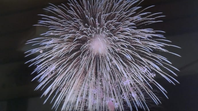 花火なんて見たくない