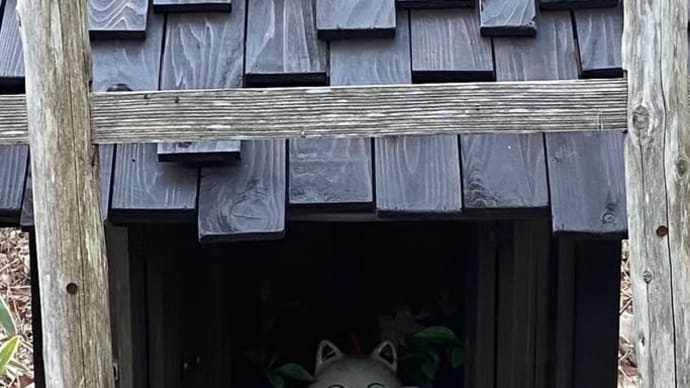 猫舟神社がリニューアル😸