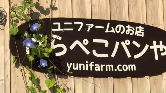 北からの便り